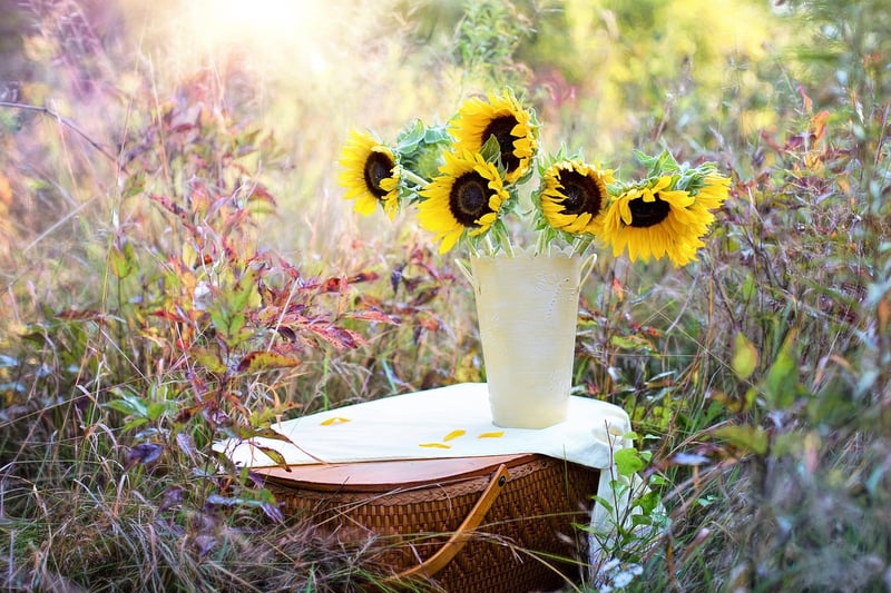 Garden Elegance Wedding